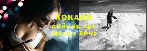 гашик Верея