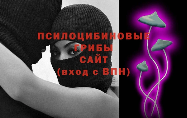 молекула духа Алексеевка