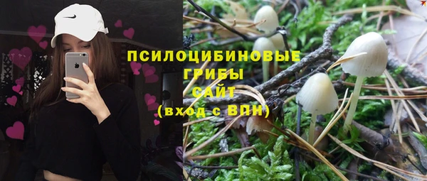 молекула духа Алексеевка