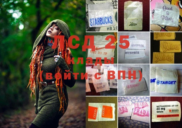 герыч Алексин