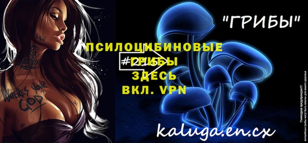 герыч Алексин