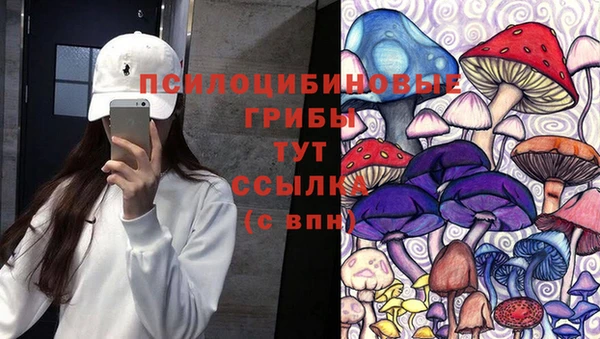 герыч Алексин