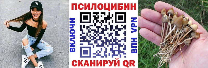 Галлюциногенные грибы Magic Shrooms  blacksprut вход  Петровск-Забайкальский  купить  сайты 